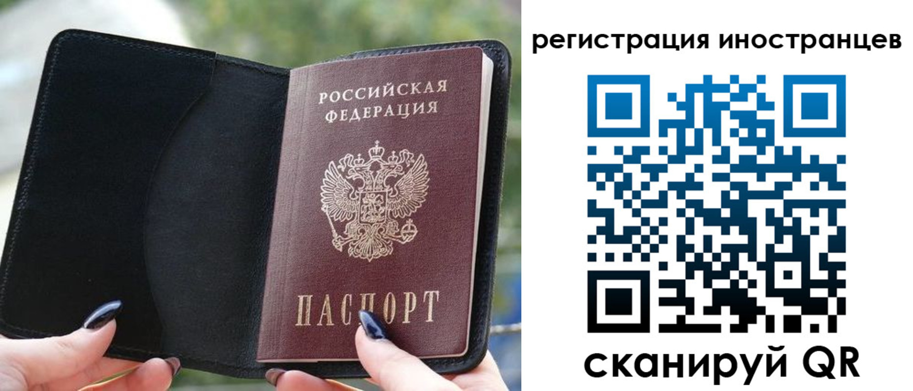 найти адрес прописки в Сланцах