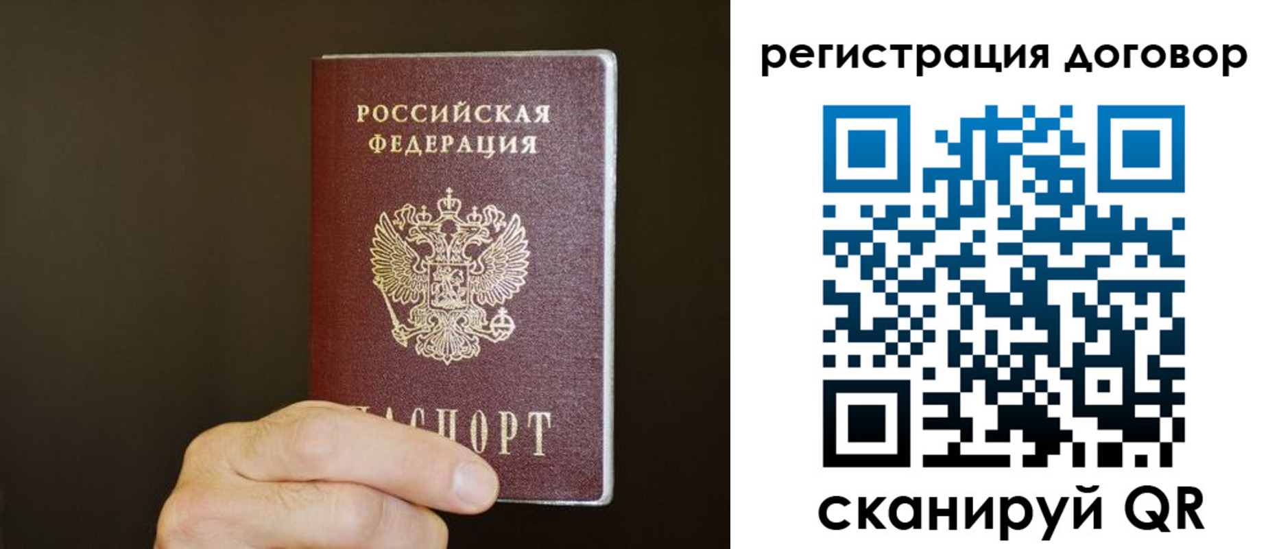 прописка для школы в Сланцах